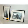 Image 1 : LOT OF 2 OWL PRINTS FRAMED BY STEPHEN LYM