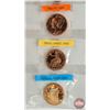 Image 4 : Variety Collector Tribute Copper Medals (8) :  - Peace - Morgan - Panda Bears - Walking Liberty - Li