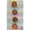 Image 6 : Variety Collector Tribute Copper Medals (8) :  - Peace - Morgan - Panda Bears - Walking Liberty - Li