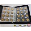 Image 8 : Canada Loonie Dollar Collection in JUNDUN Collector Zipper Portfolio (101 Coins) : Intermittent from