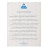 Image 8 : A Star Tours Press Kit.