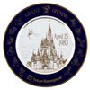 Image 3 : A Collection of Tokyo Disneyland Grand Opening Items.