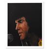 Image 1 : Elvis by Evans Sally