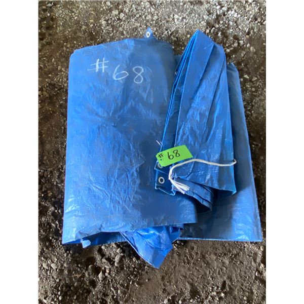 Large Blue Tarp