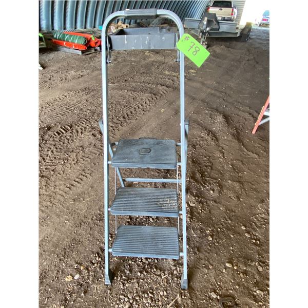 3ft Step Ladder