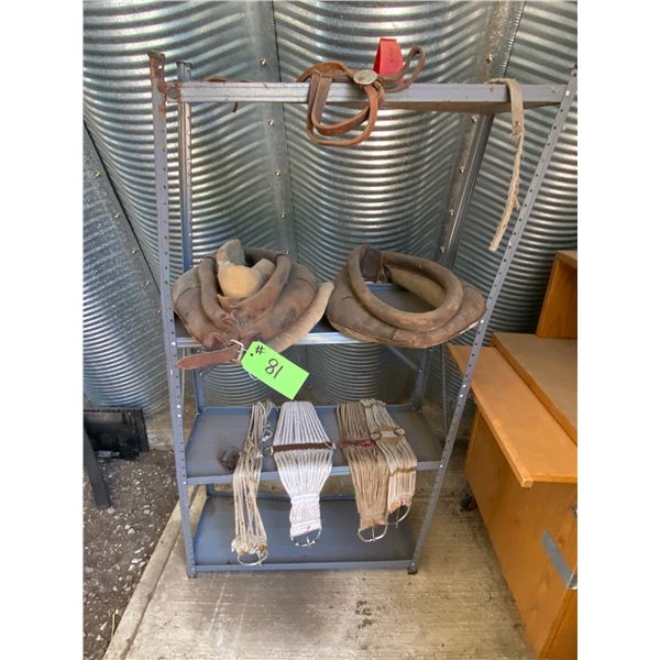 Metal Shelf c/w Bridle, 2 small Horse Collars & 4 Cinches