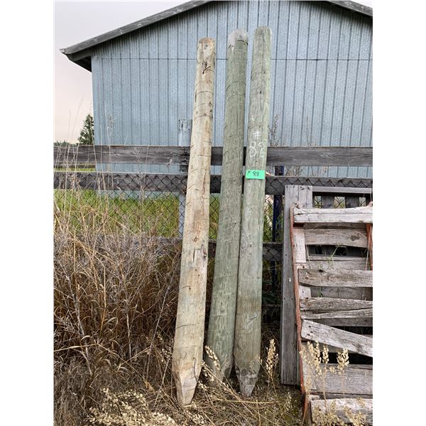 3 - Fence Posts 5 to 6 in approx. 8ft selling all together
