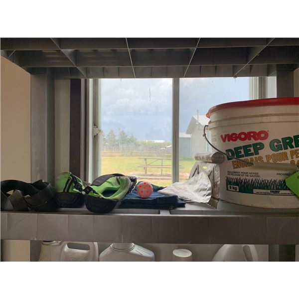 Water Shoes, Container of VIGORO Deep Green, Engine Oil, Casoron, Ant & Earwig Killer, Isopropyl Alc