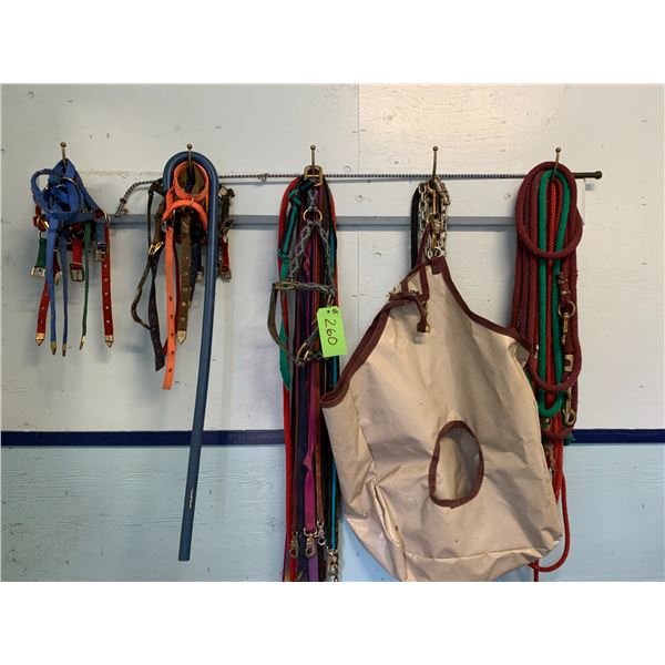 Large Qty of Halters, Leads, Reins, Feed Basket, Plastic Cane, etc.