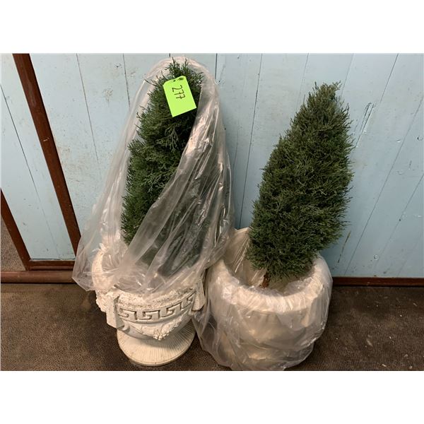 2- Artificial Plants c/w Pots