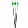 Image 1 : Excalibur Proflight Quill Bolts 16.5" (6-Pack) Sku 22EXP16-6
