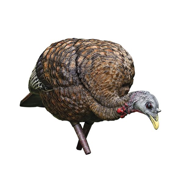 Avian-X LCD Feeder Hen Turkey Decoy Sku AVX8007