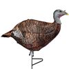 Image 1 : Primos Photoform Leading Hen Turkey Decoy Sku 69070