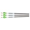 Image 1 : Excalibur Proflight Bolts w/ Lumenok 3-Pack 18" Sku 22EXP18IL-3