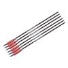 Image 1 : Umarex AirSaber Arrow (6-Pack) Sku 2252661