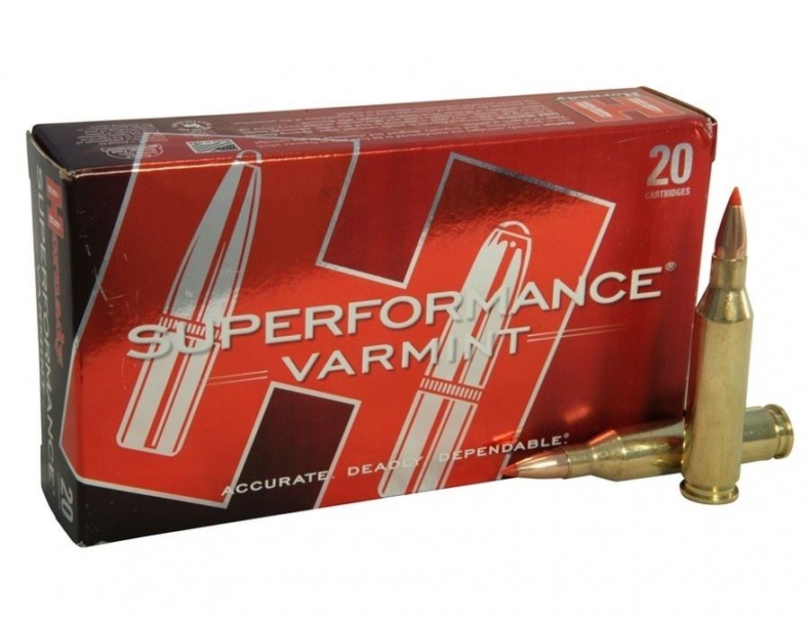Hornady Superformance Varmint 243 Win 58 Grain V-Max (20 Cartridges ...