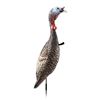 Image 1 : Flextone Funky Chicken Gen 2  Turkey Decoy Sku FLX-FLXDY330