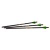 Image 1 : Excalibur Illuminated Diablo 18" Carbon Arrows (3-Pack) Sku 22DV18IL-3