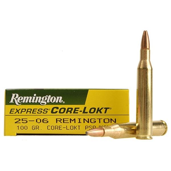 Remington Core-Lokt 25-06 Rem. 100 Grain PSP (20 Rounds) Sku 21507