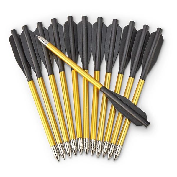 Bear Desire Crossbow Bolts (12-Pack) Sku AVXA12P