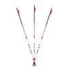 Image 1 : Carbon Express Destroyer Mx Hunter 350 Spine Sku 51150
