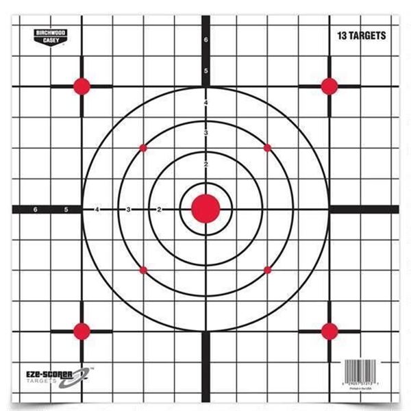 Birchwood Casey Eze-Scorer Targets (13-Pack) Sku BC-37213