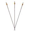 Image 1 : Carbon Express Predator SD Arrow 400 Sku 51170
