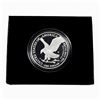 Image 2 : 2022 American Silver Eagle 1oz