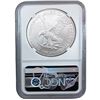 Image 5 : 2015-2023 GEM Bu Silver Eagle [4 Coins] NGC MS70