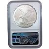 Image 5 : 2012-2021 GEM BU Silver Eagle [4 Coins] NGC MS70