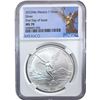 Image 6 : 1999-2022 GEM BU Silver Eagle/1 Onza [5 Coins] NGC/PCGS/ANACS/PCI MS69/70