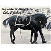 Image 1 : JFK Assassination Arthur Carlson Black Jack Funeral Procession Horse signed photo