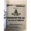 Image 1 : The New Adventures of Frankenstein Tome #11 Frankenstein and the Evil Dracula
