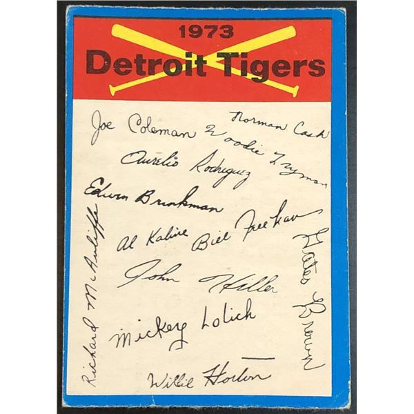 1973 O-PEE-CHEE DETROIT TIGERS