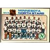 Image 1 : 1975-76 O-PEE-CHEE MINNESOTA NORTH STARS
