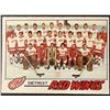 1977-78 O-PEE-CHEE DETROIT RED WINGS
