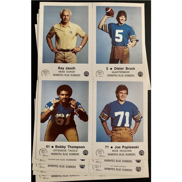 1982 WINNIPEG BLUE BOMBERS (CFL) POLICE SET