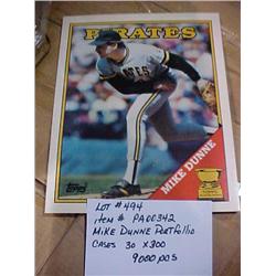 MIKE DUNNE PORTFOLIO