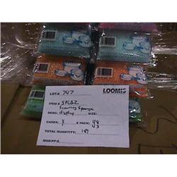 SCOURING SPONGE DISPLAY D