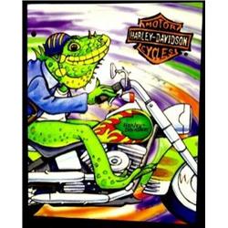 FRAME ASST. COLORS 2 1/2" X 3 1/2"