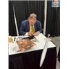 Image 3 : MULTI SIGNED LOTR PRESENTATION PIECE - WOOD, ASTIN, SERKIS, BLOOM AND RHYS DAVIS - WWOC COA