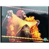 Image 1 : HULK HOGAN SIGNED HULKAMANIA 8 X 10 (KB COA)