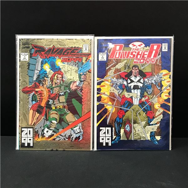 LOT OF 2 COMICS VARIOUS TITLES