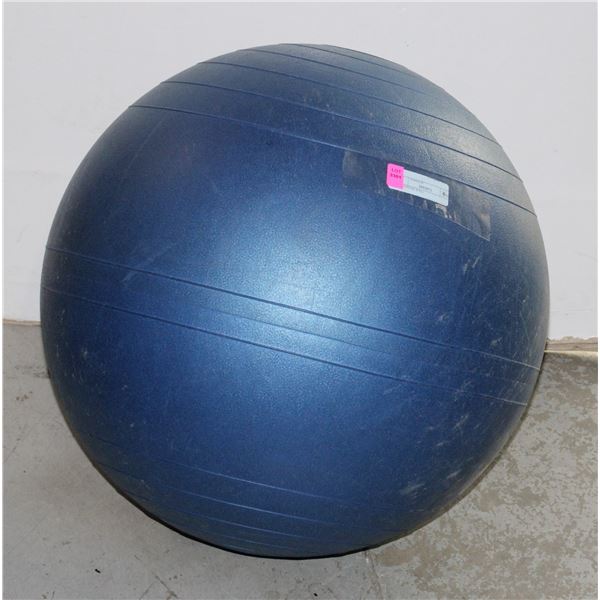 EXERCISE BALL