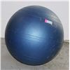 Image 1 : EXERCISE BALL
