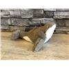 Image 3 : Wild Republic Humpback Whale Stuffed Animal - 9" - Brand New
