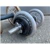 Image 2 : Assorted Dumbbell Weights