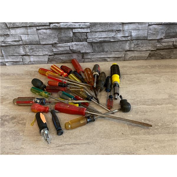 Assorted Screwdrivers - 30 Pcs