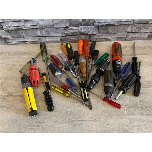 Assorted Screwdrivers - 30 Pcs