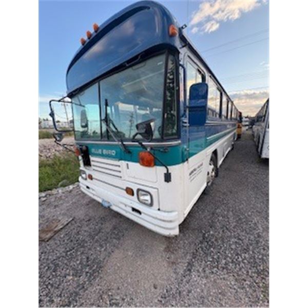 Bluebird Bus